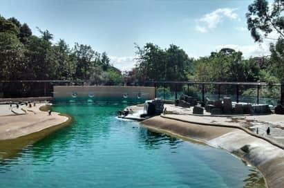 <p>Edinburgh Zoo</p>